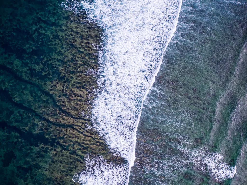 Reef Break