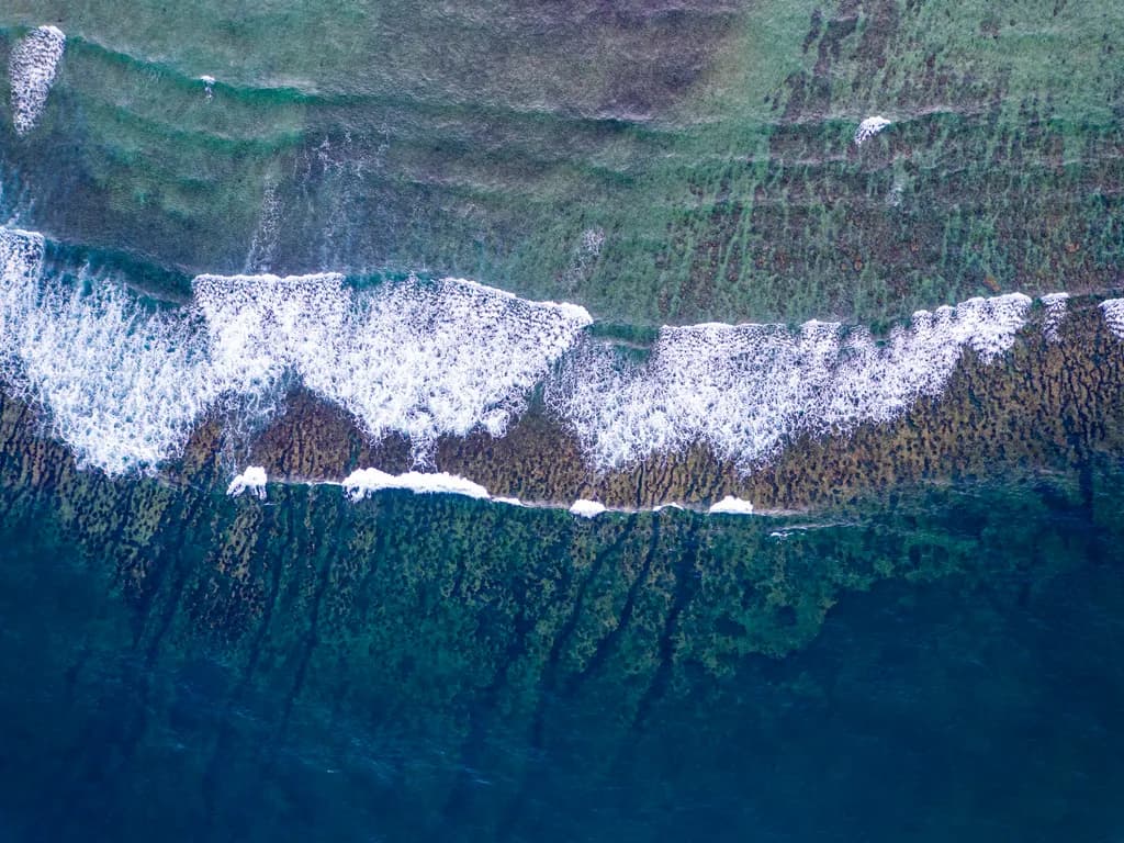 Coastal Currents