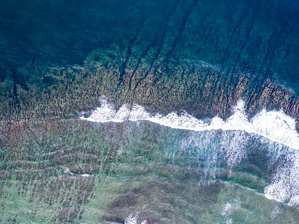 Coastal Currents