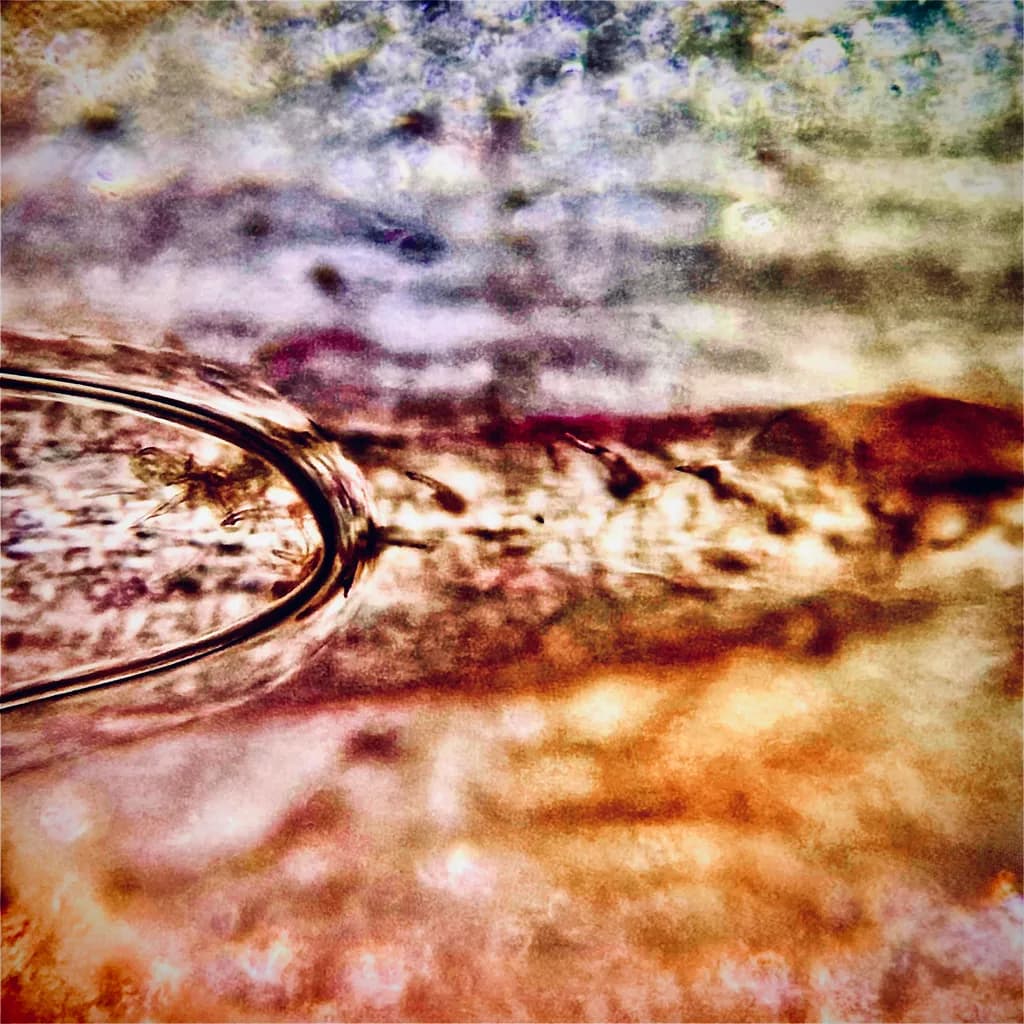 Liquid Horizon