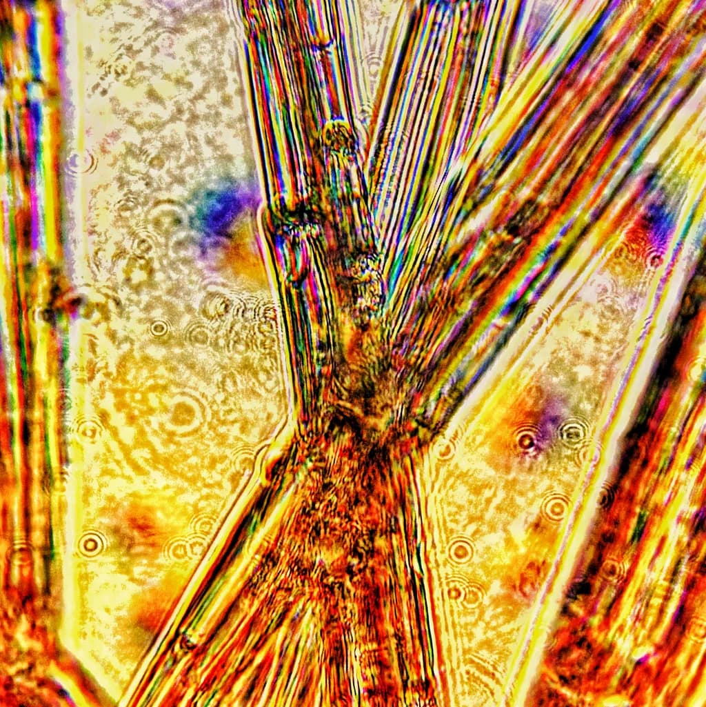 Prismatic Threads