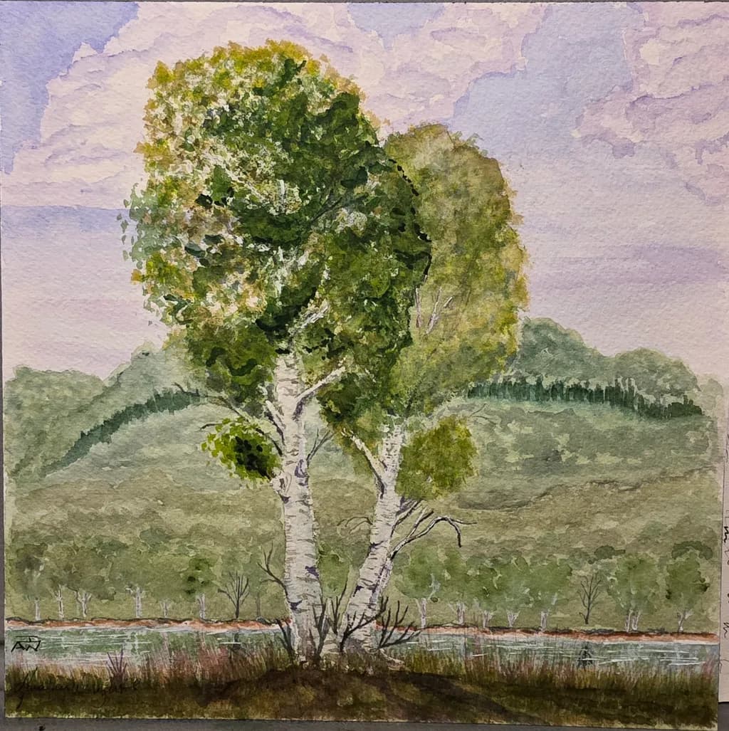 Twin Birch Reflections