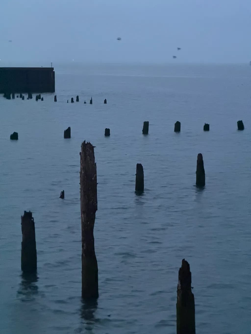 Ocean Posts at Dusk