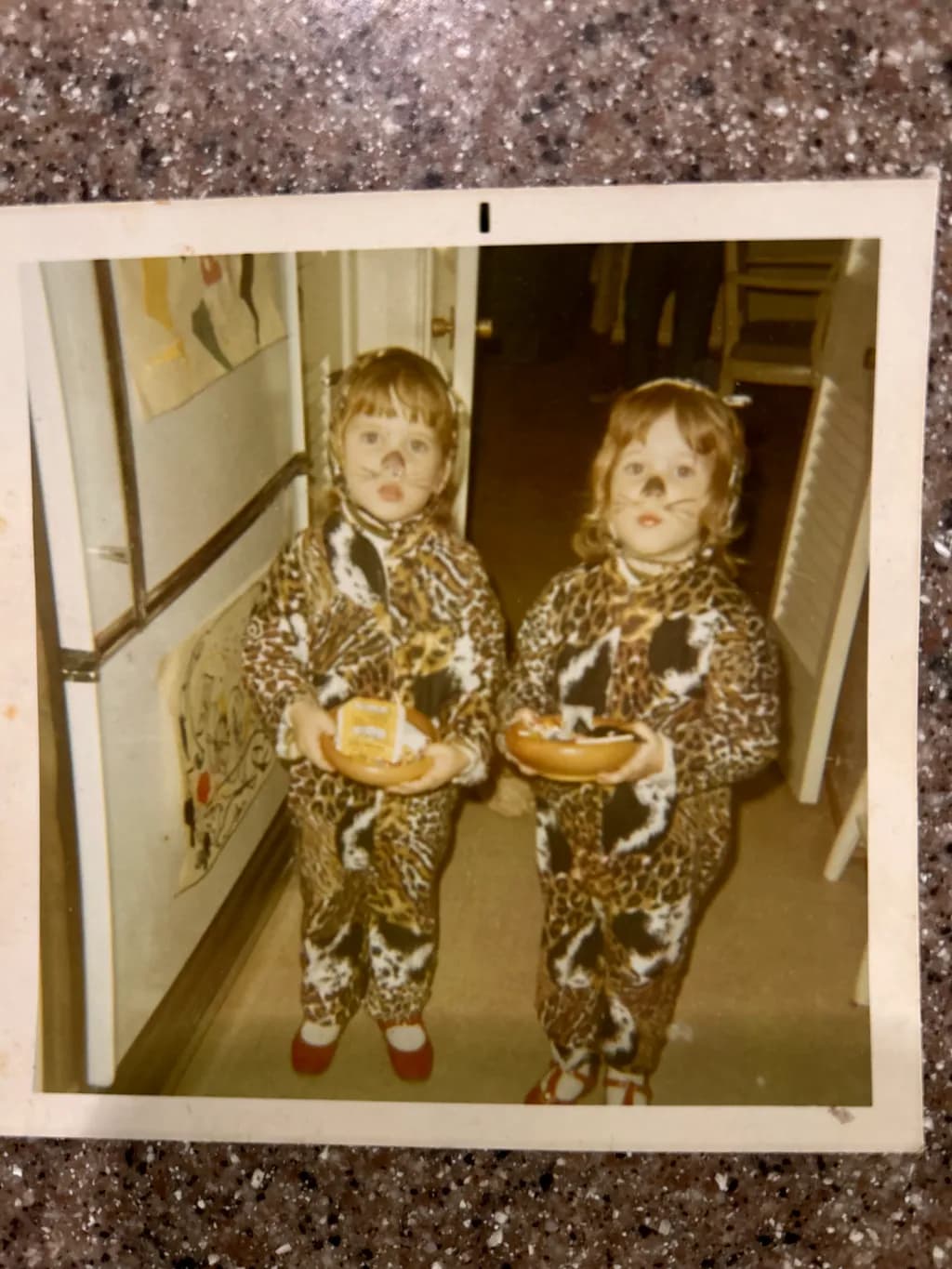 Twin Tigers