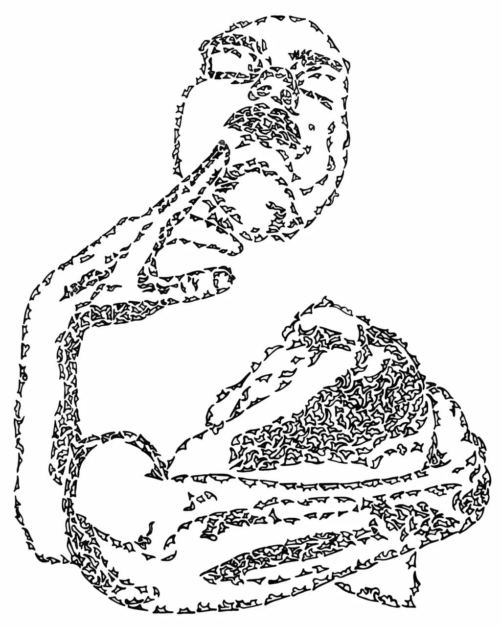 Fragmented Reflection