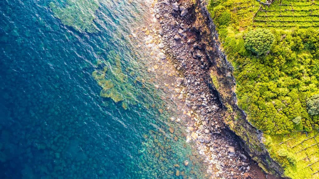 Coastal Cliffs and Ocean