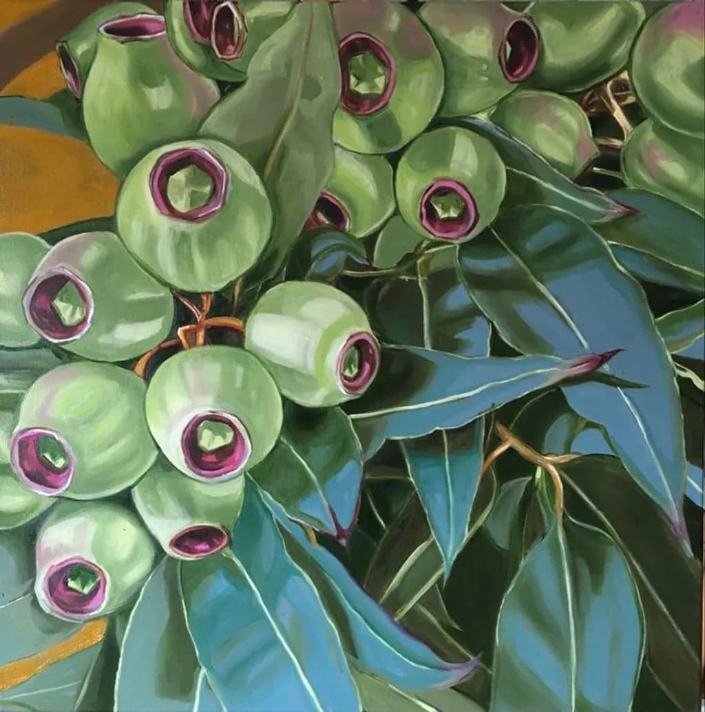 Eucalyptus Berries
