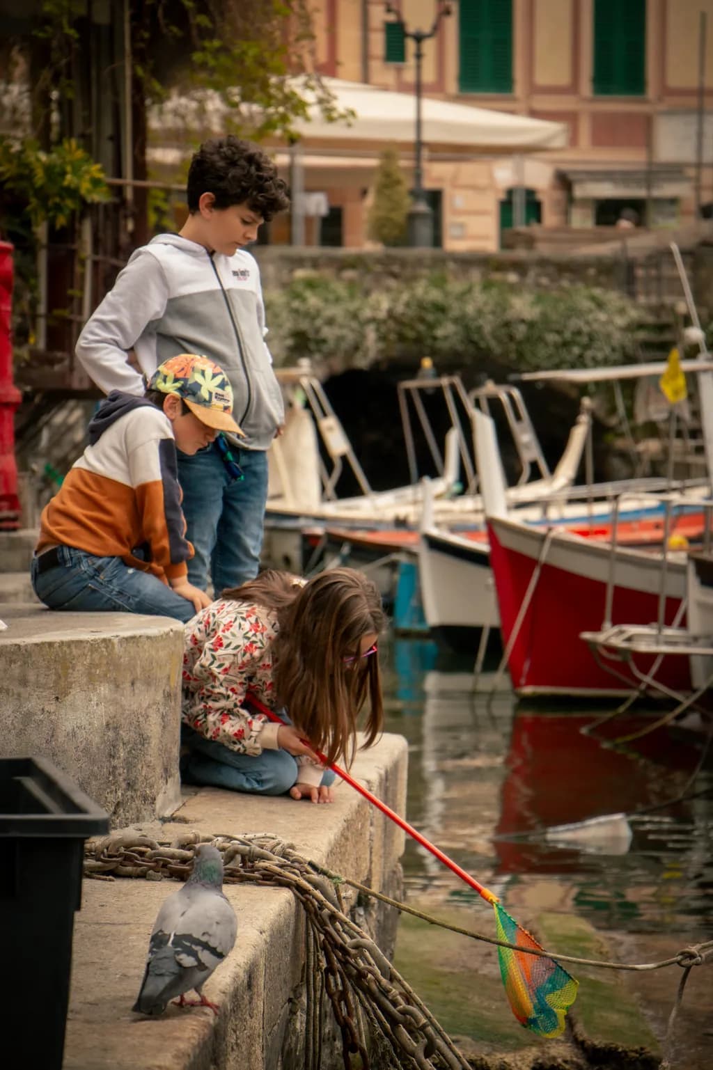 Harbor Curiosity
