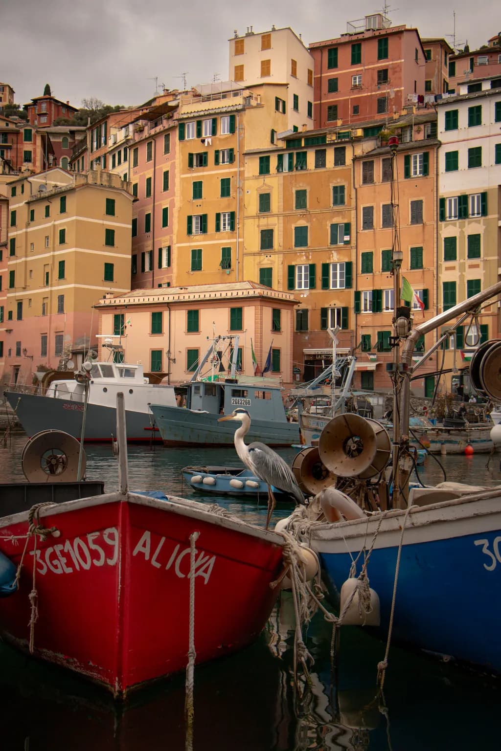 Harbor Stillness