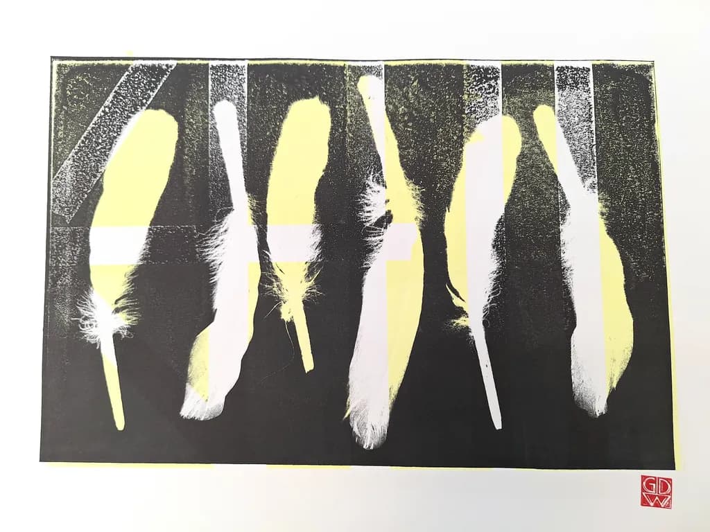Silent Feathers
