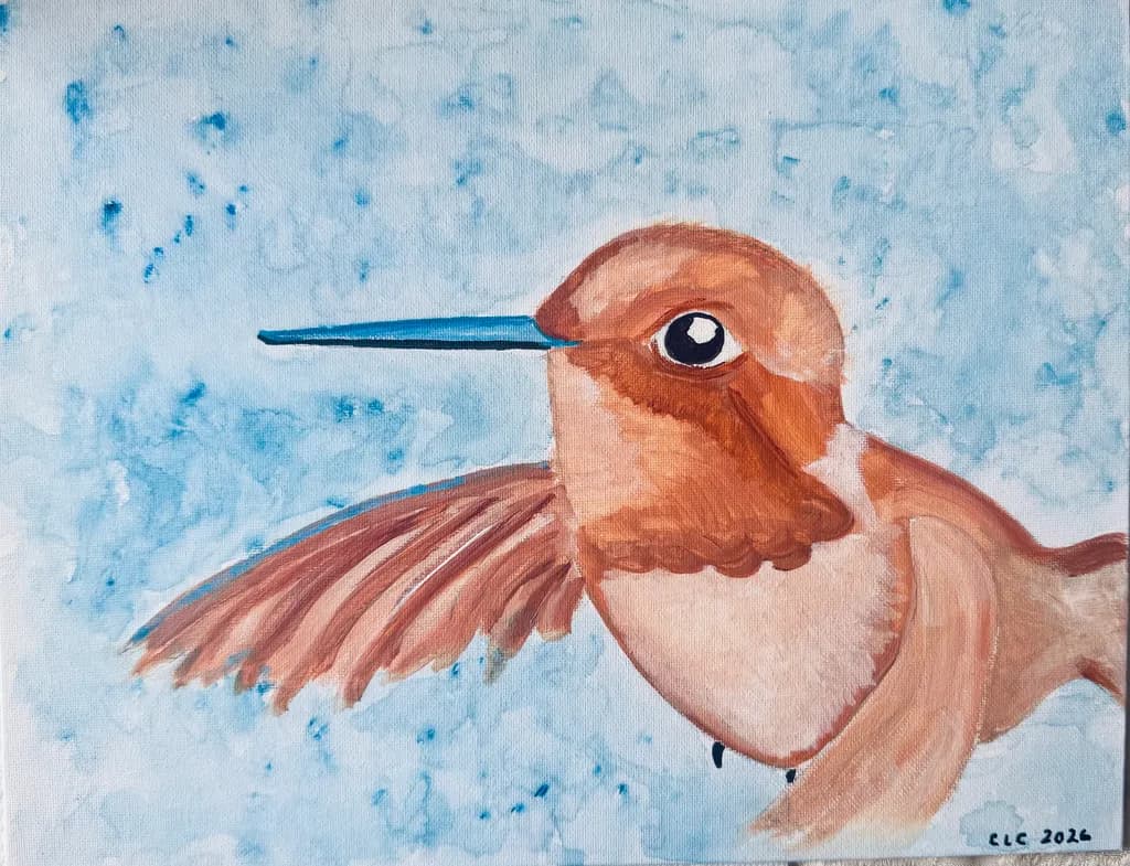 Hummingbird Flight