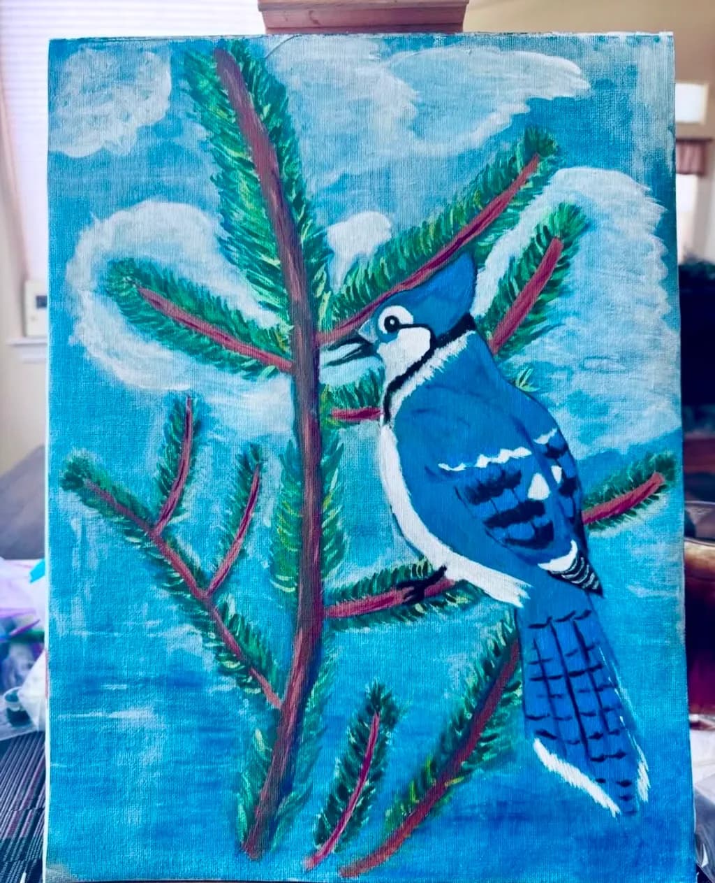 Blue Jay on Evergreen