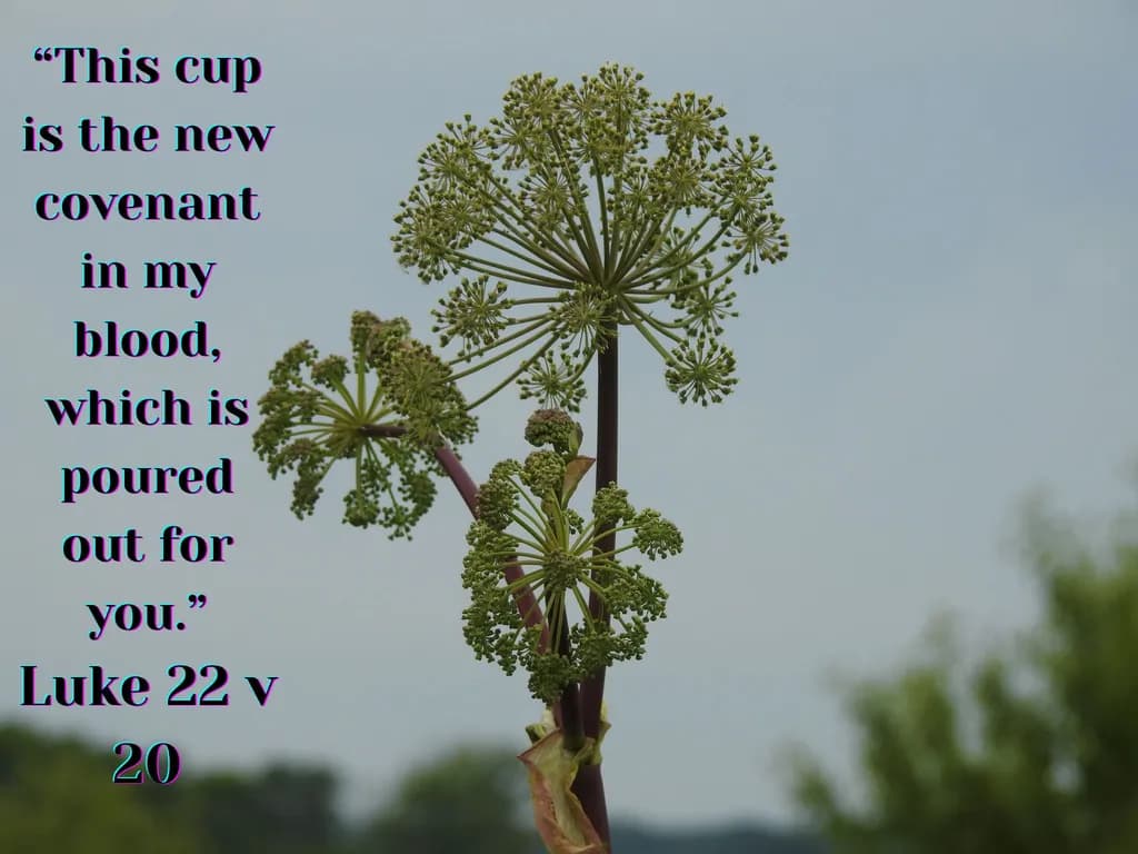 This Cup Is the New Covenant