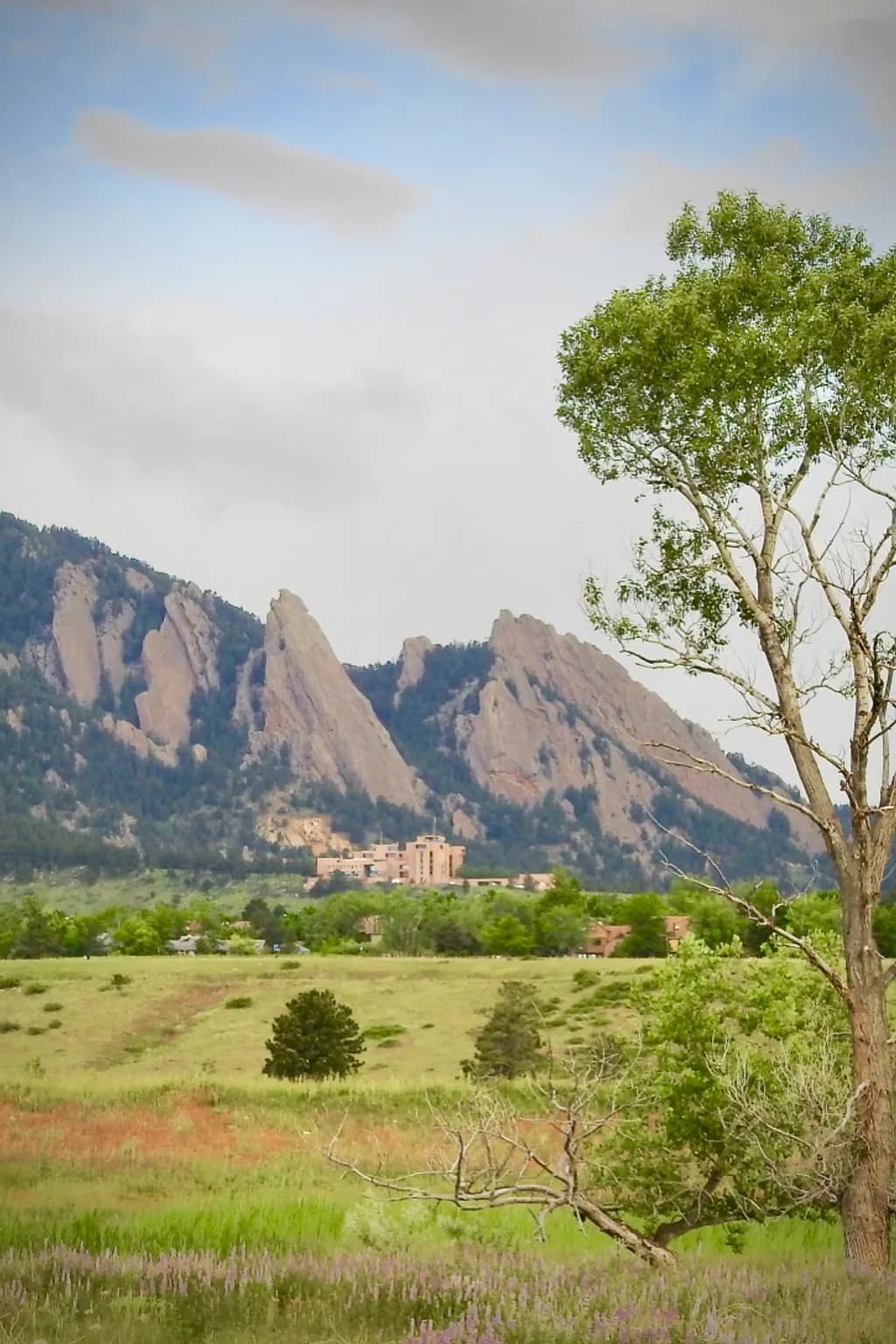Flatirons Vista