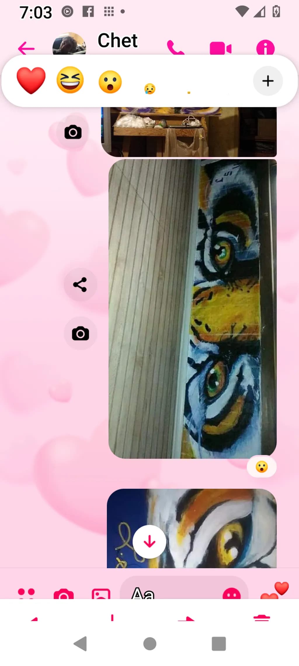 Tiger Gaze