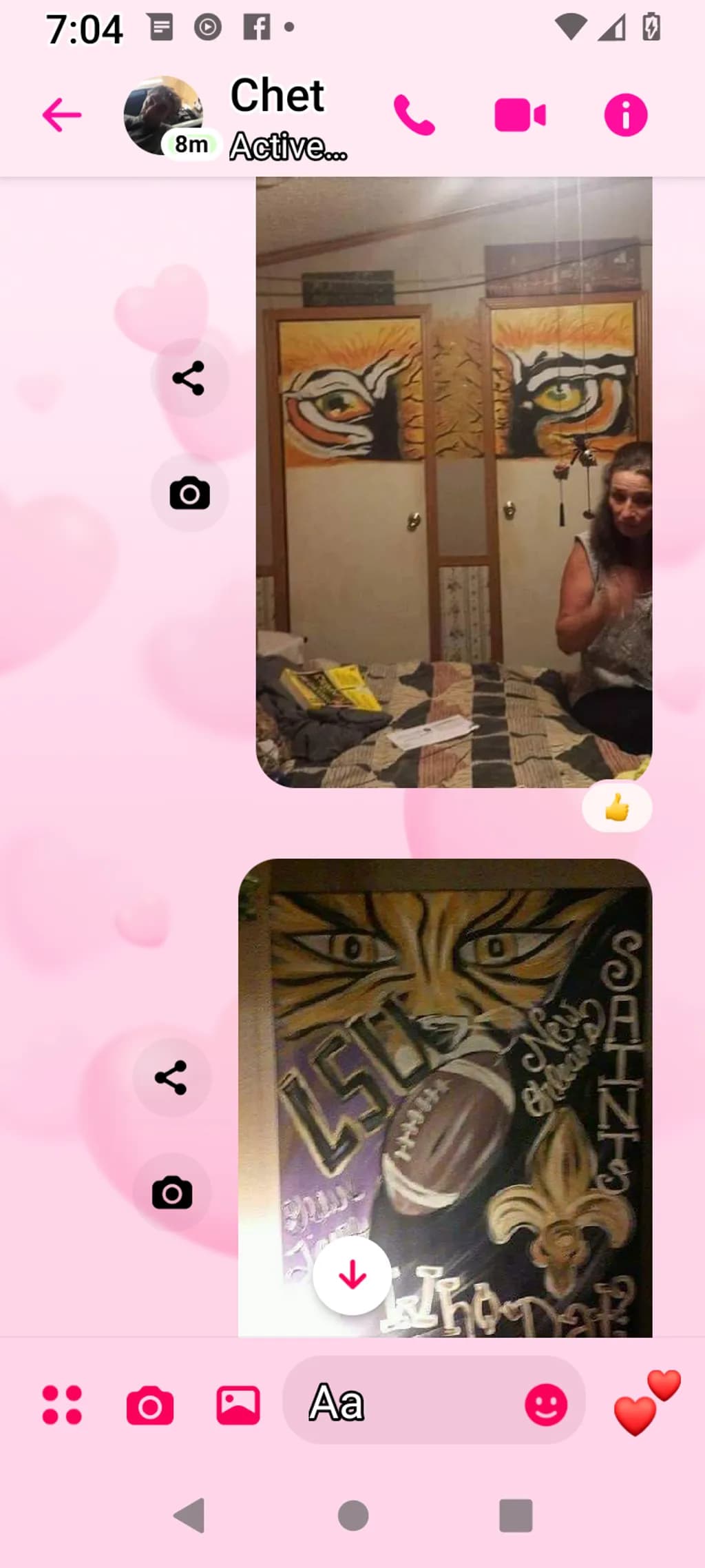 Tiger Spirit Walls