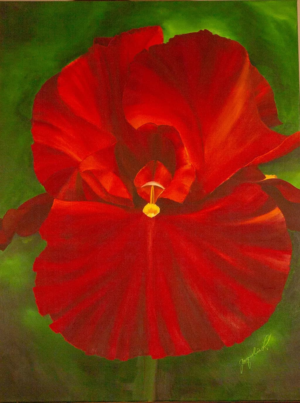 Crimson Iris