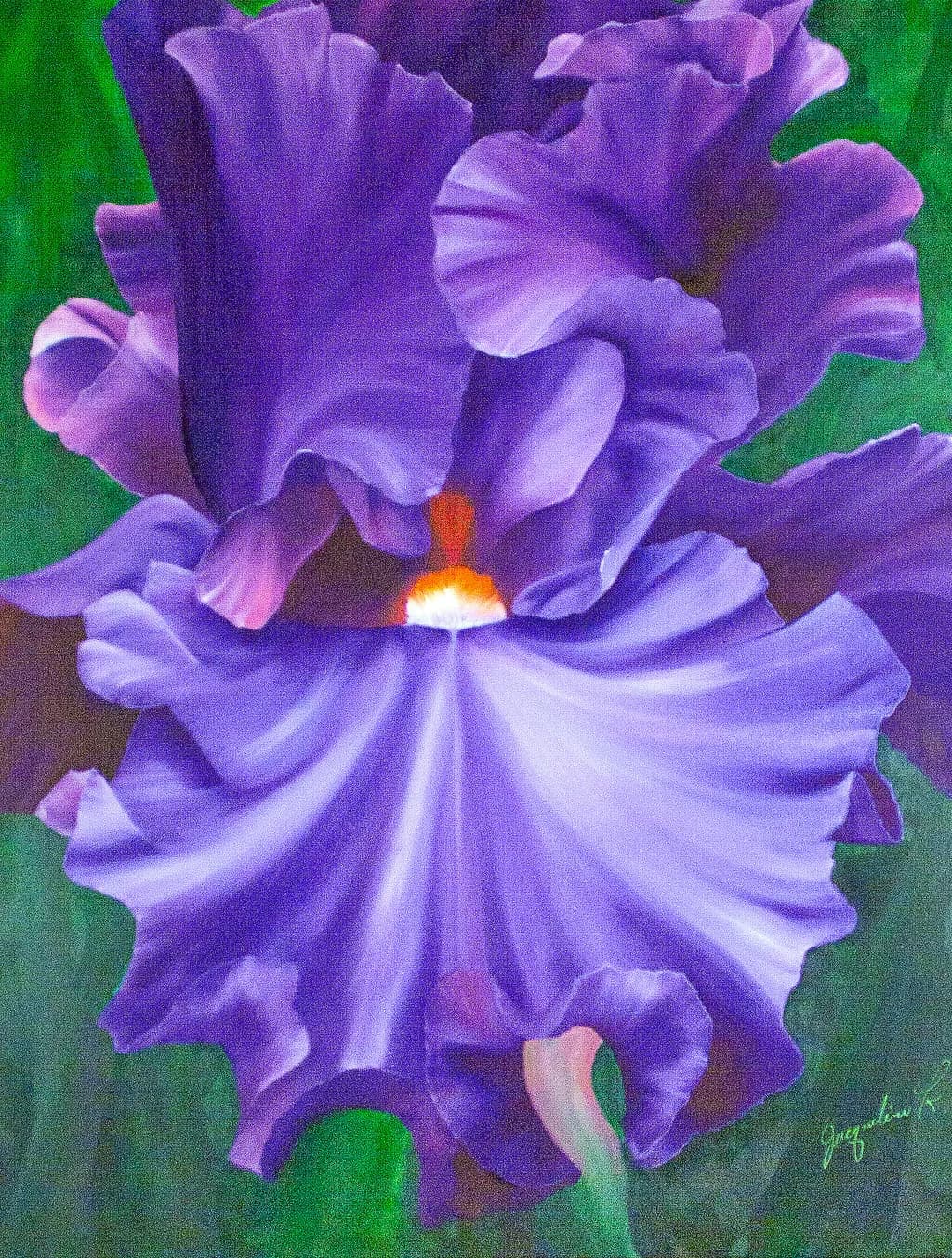Purple Iris #11