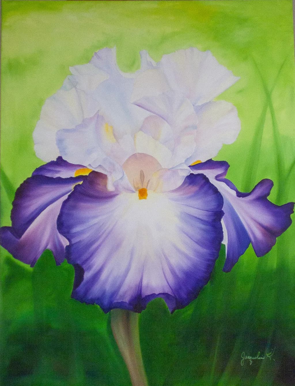 Violet and White Iris