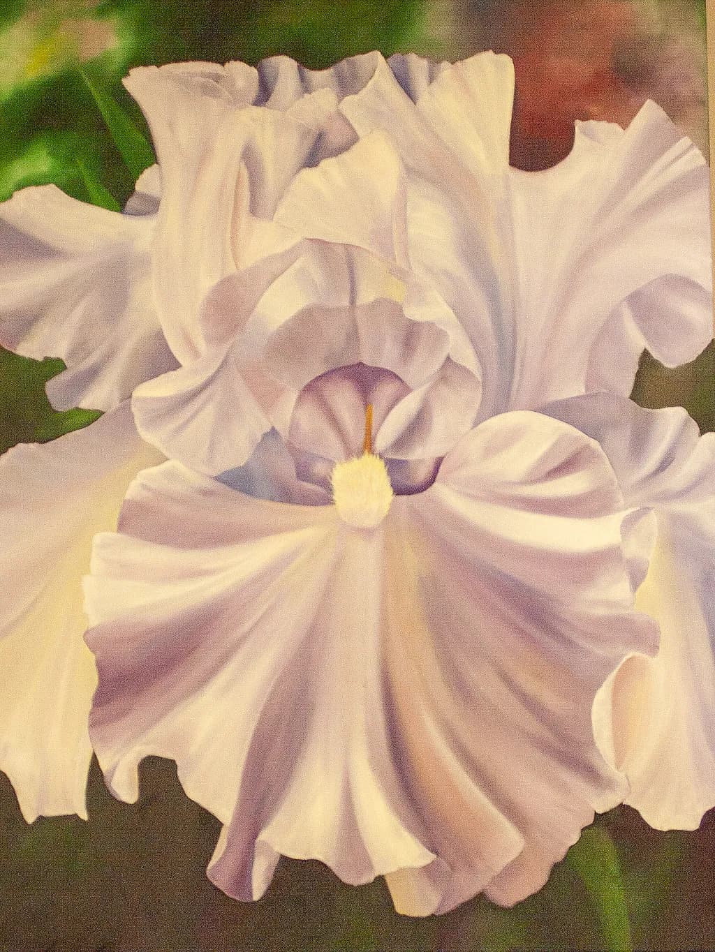 White Iris #5