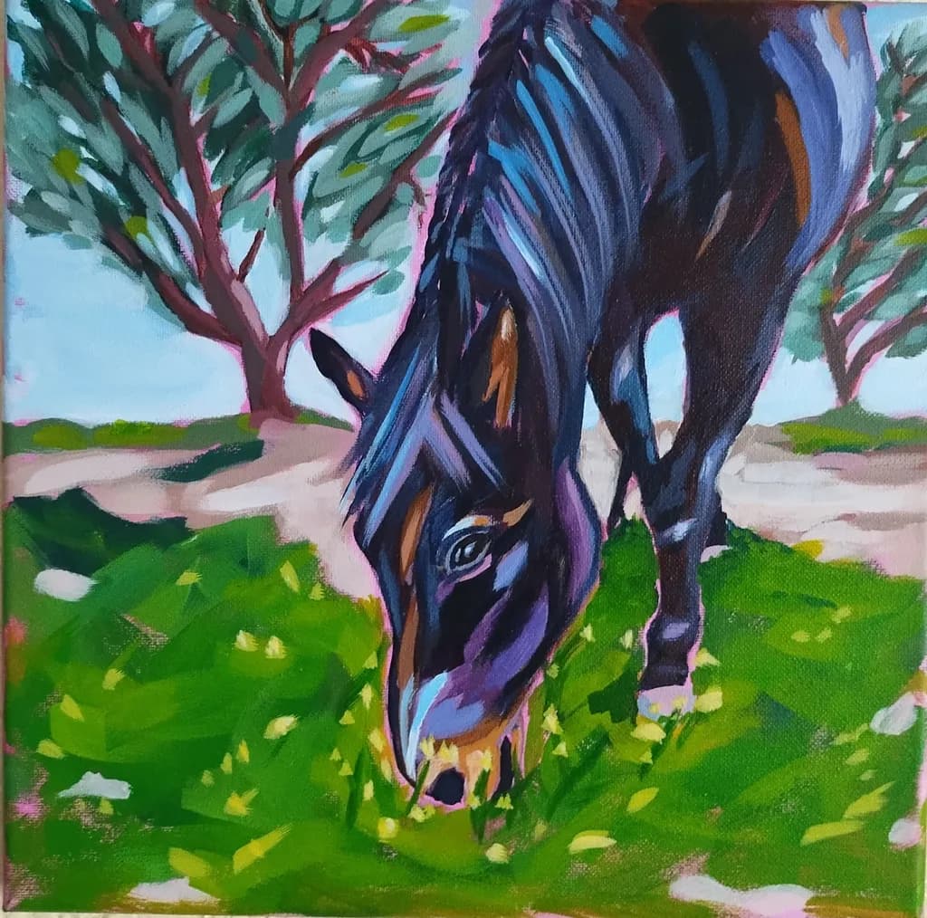 Cooper Horse Grazing