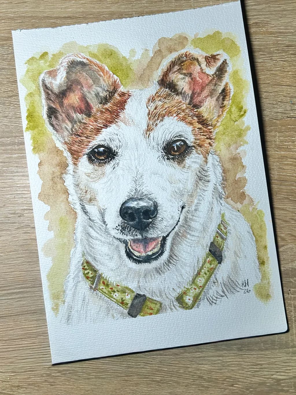 Cheerful Jack Russell