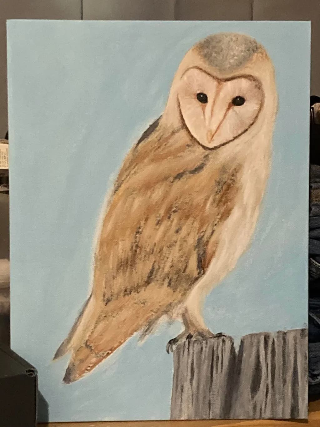 Barn Owl Perch