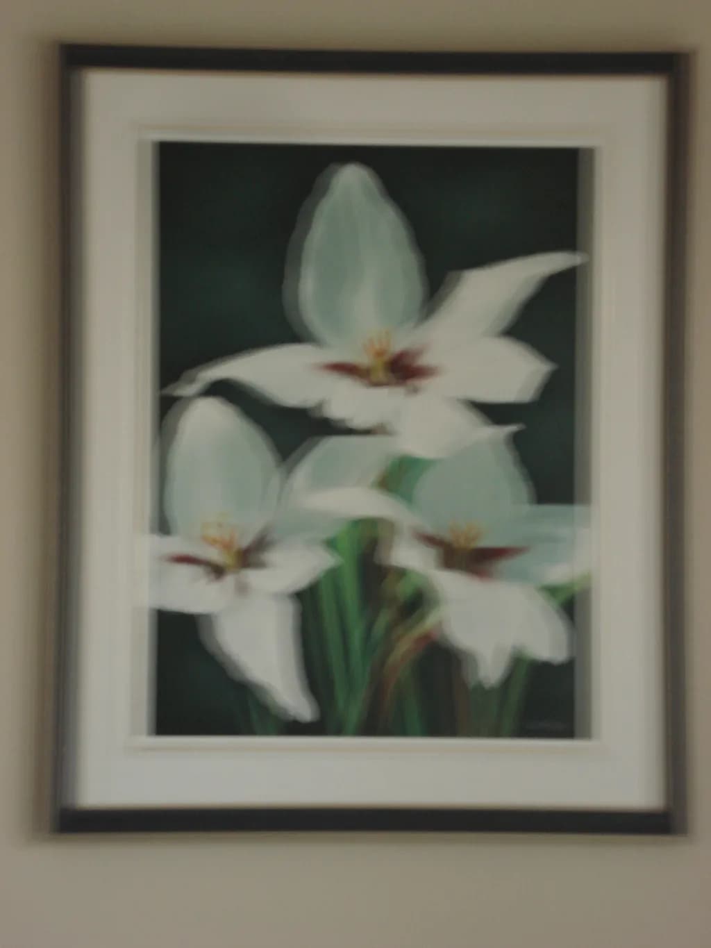Trillium Trio