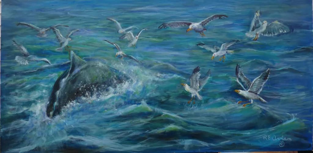 Seagulls and Surf
