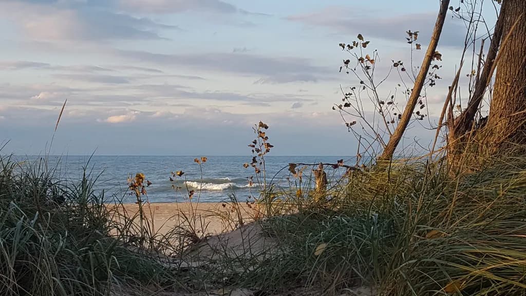 Solitary Wave at Beach