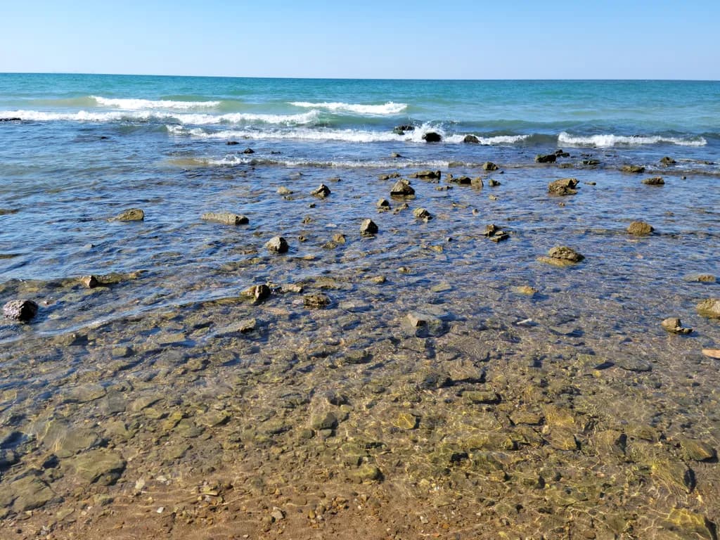 Gradient Shore View