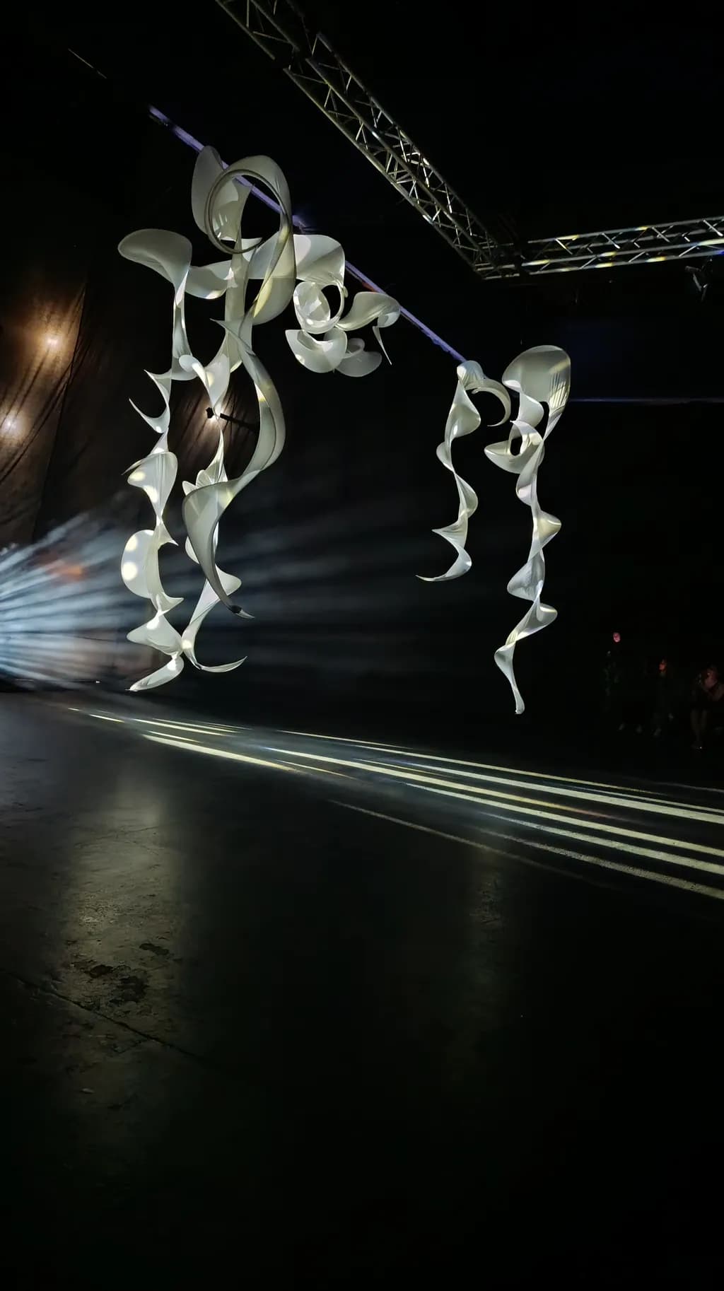 Suspended Whirls