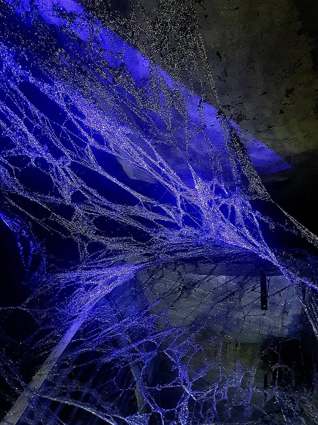 Luminous Webbing