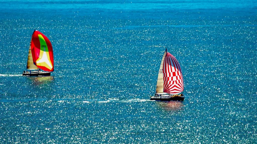 Sailboat Race