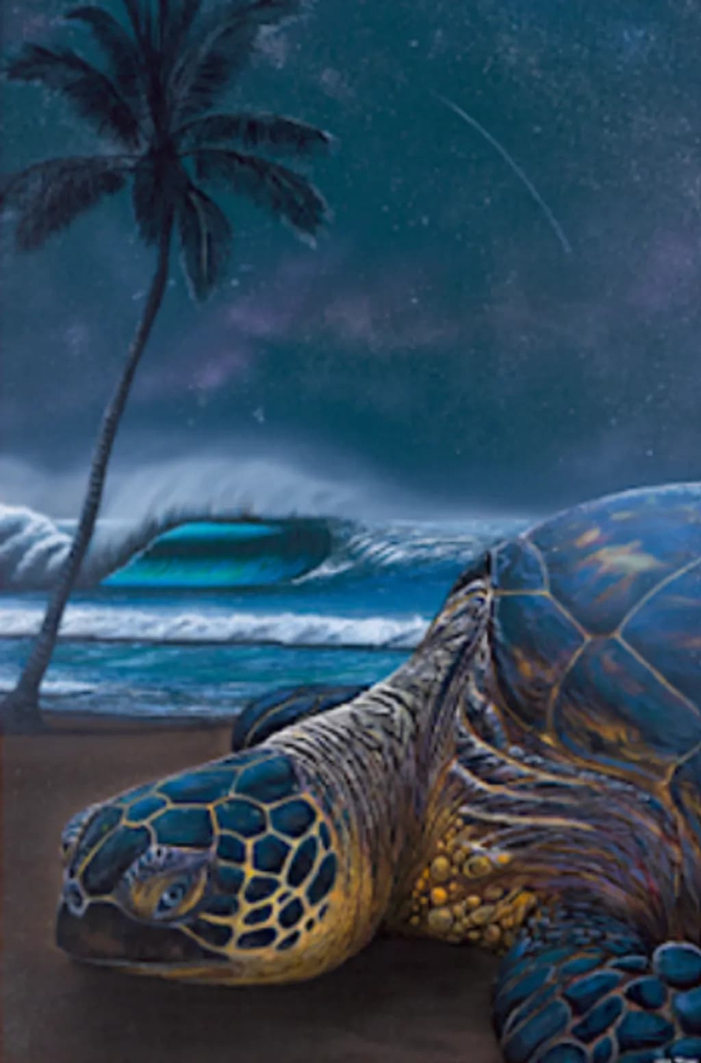Night Turtle Shore