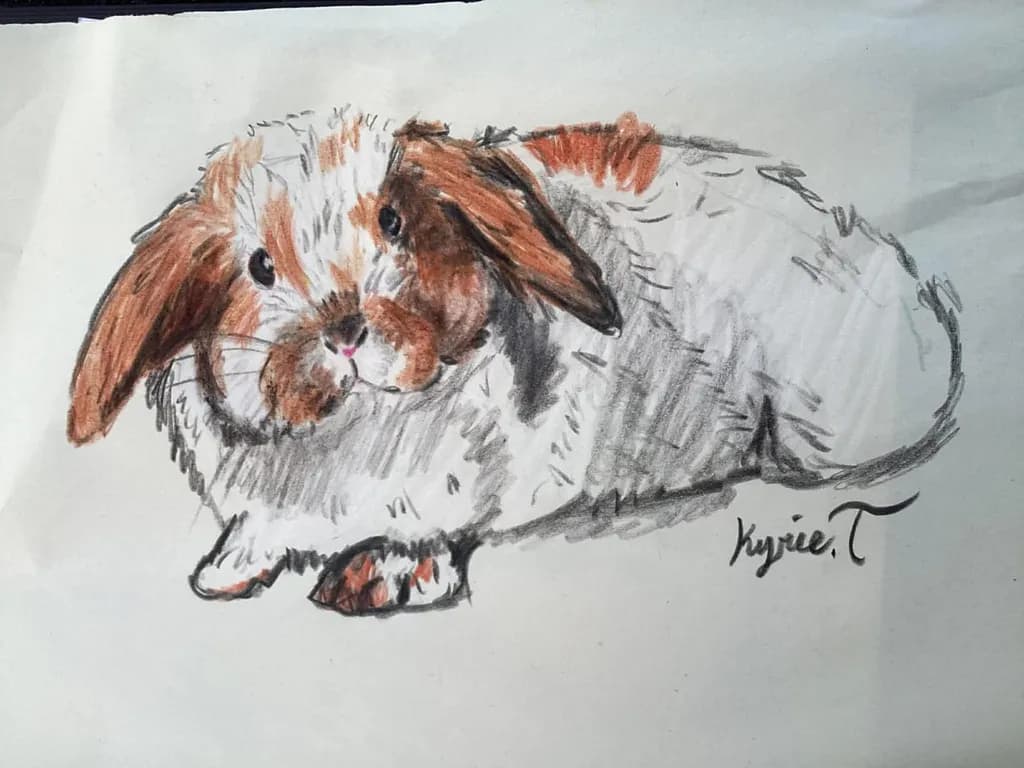Patchwork Bunny
