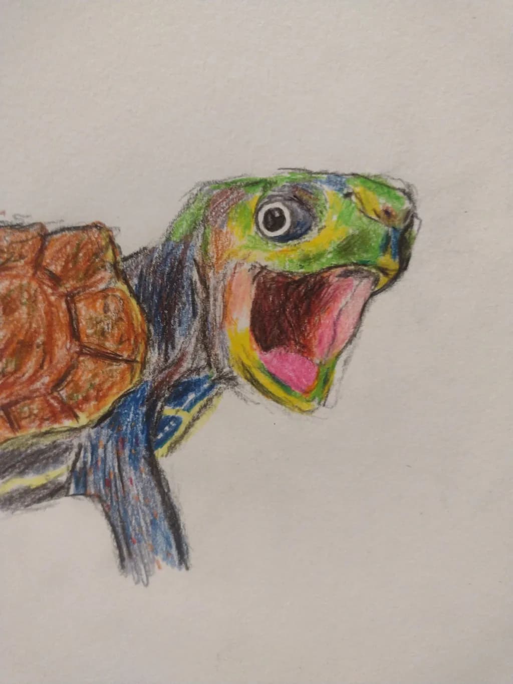 Shouting Turtle