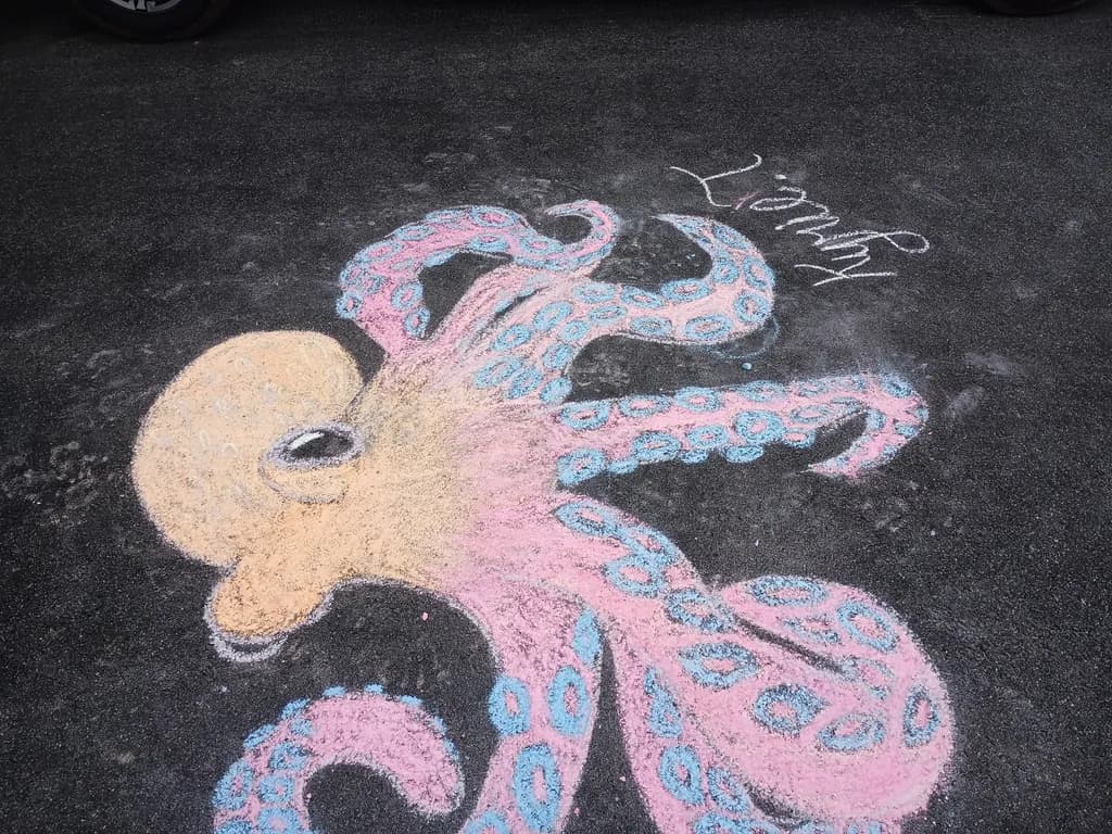 Playful Octopus