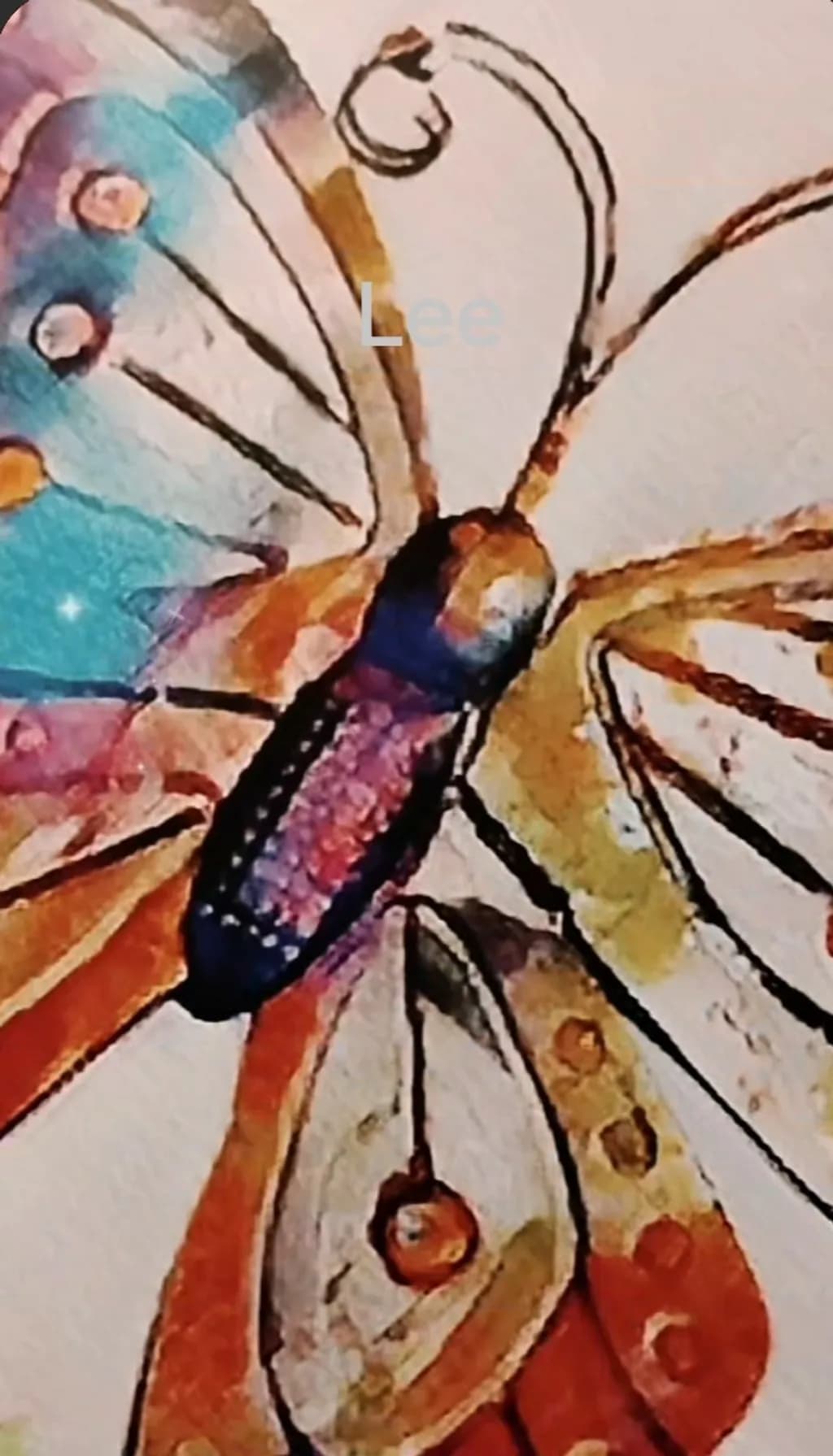 Colorburst Butterfly