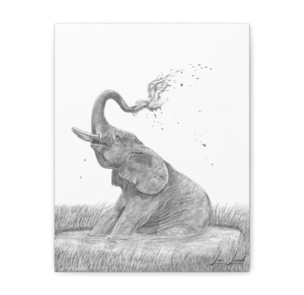 Playful Elephant Splash