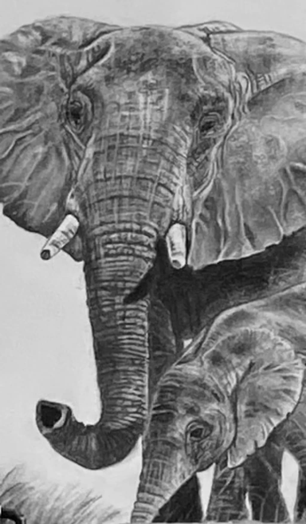 Elephant Guardians