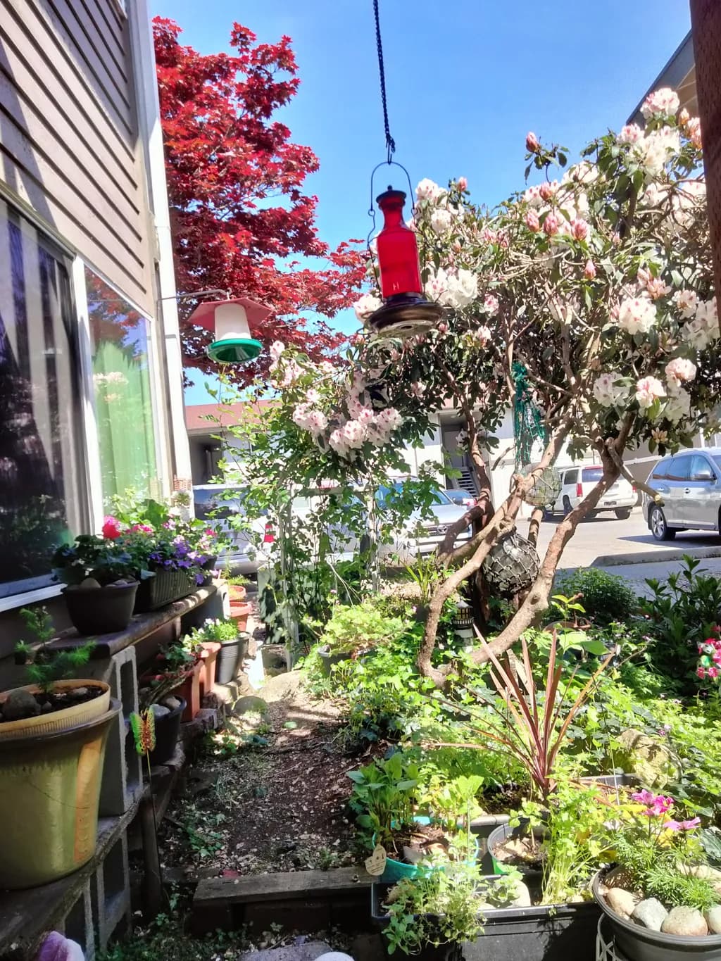 Garden Sanctuary