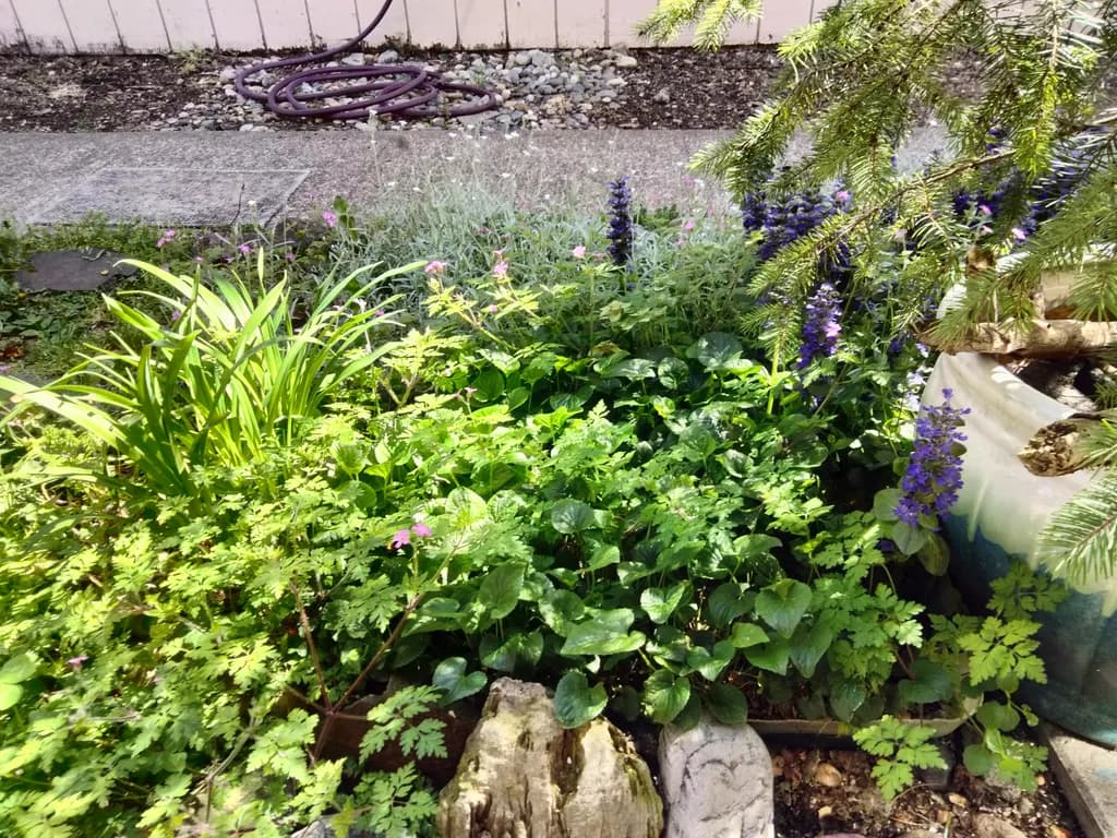 Garden Layers