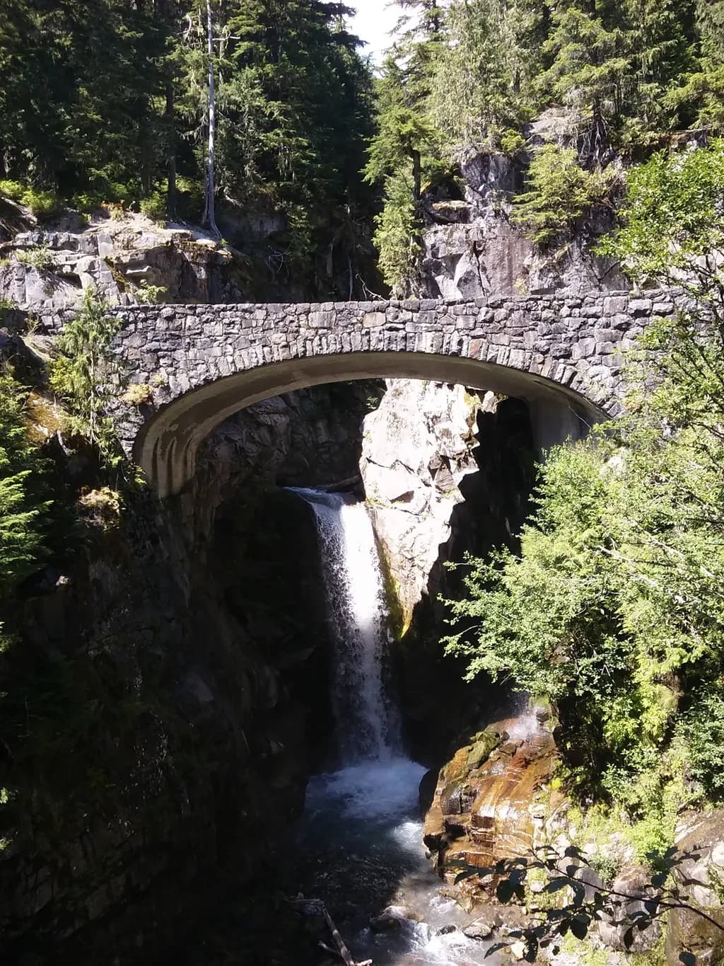 Rainier Park Cascade