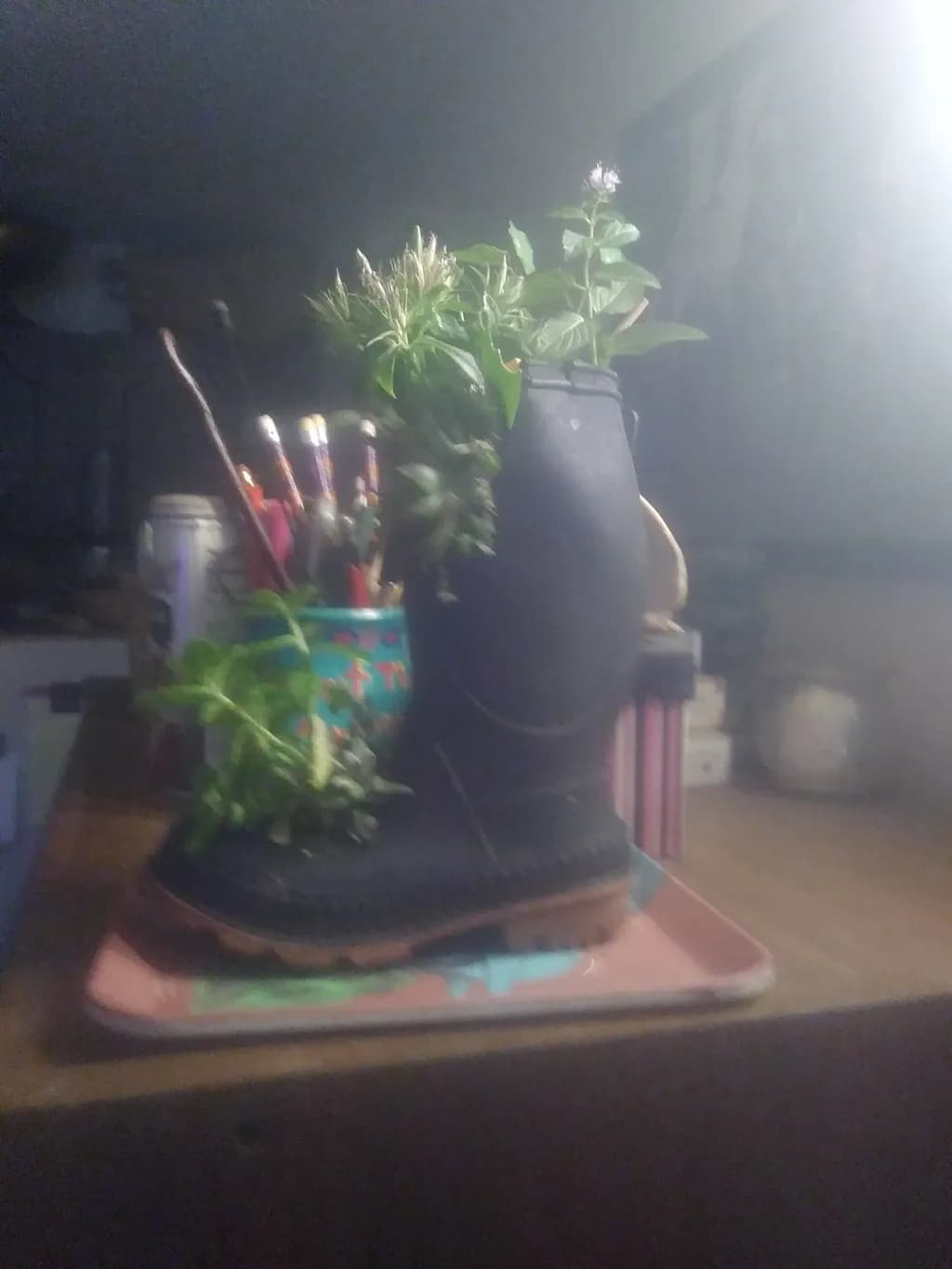 Birthday Boot