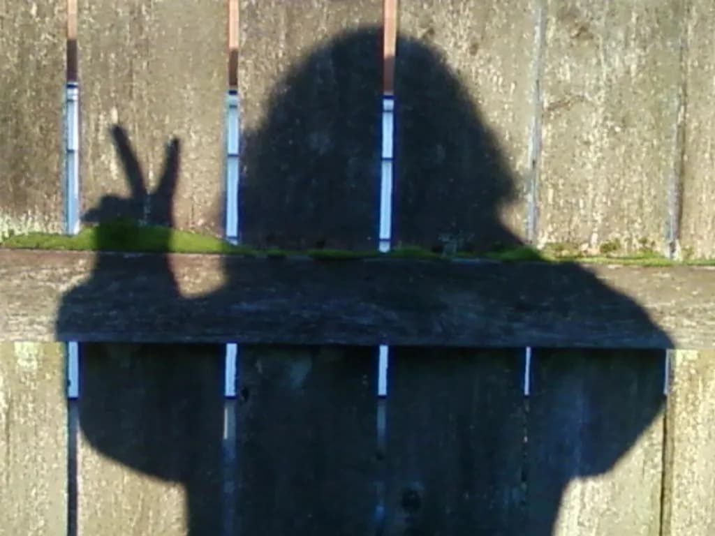 Me and My Shadow