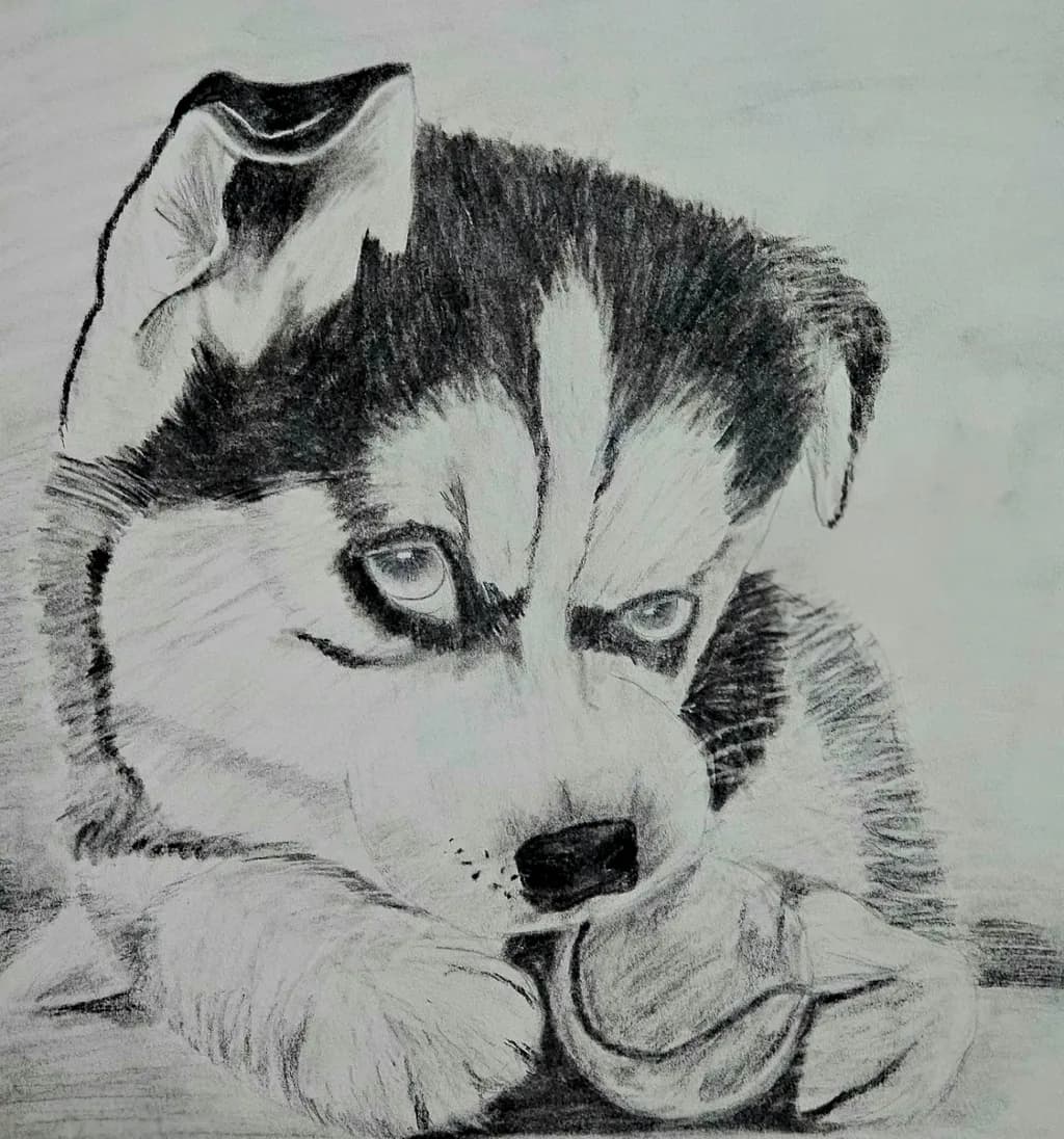 Pensive Pup