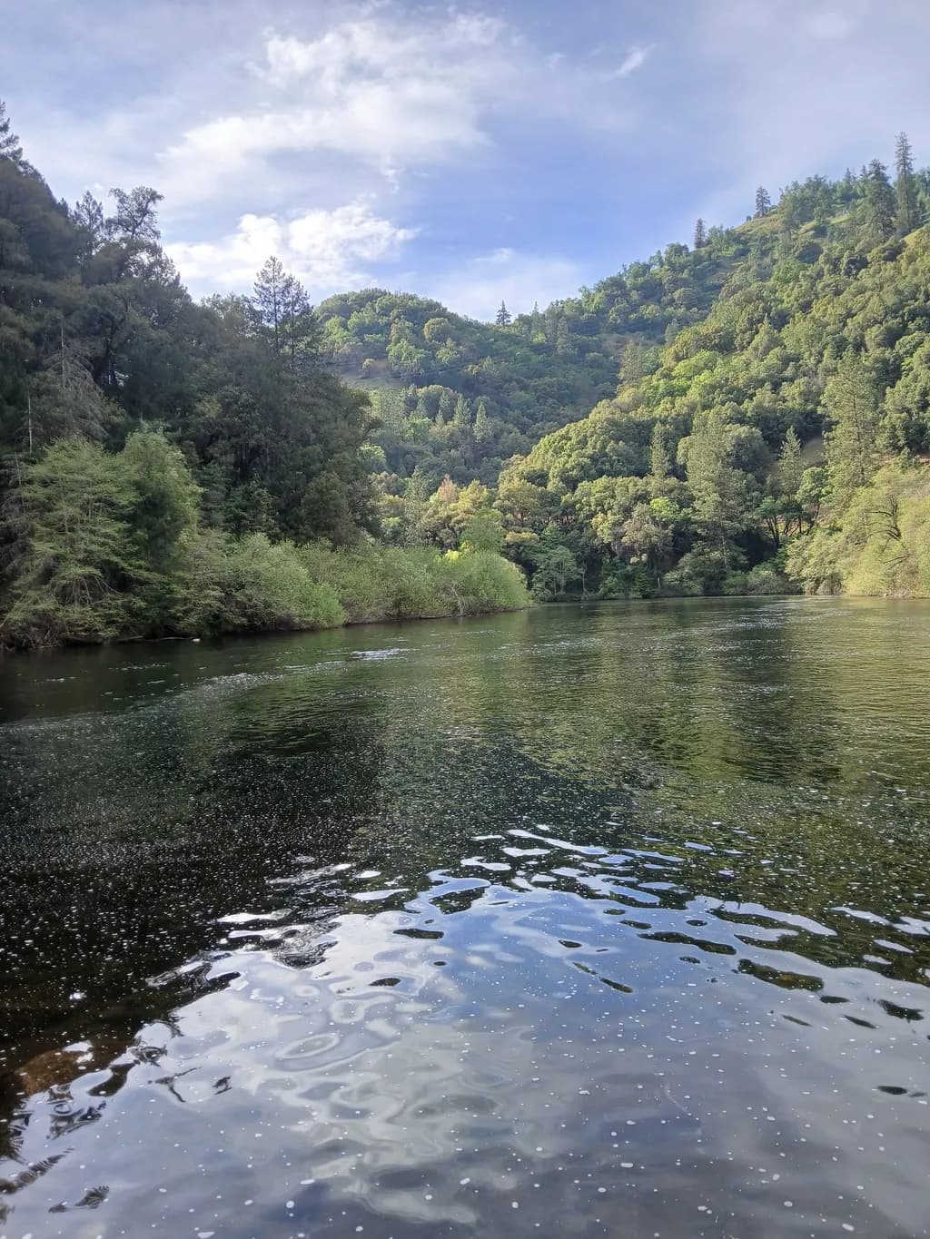 Riverbend Reflection