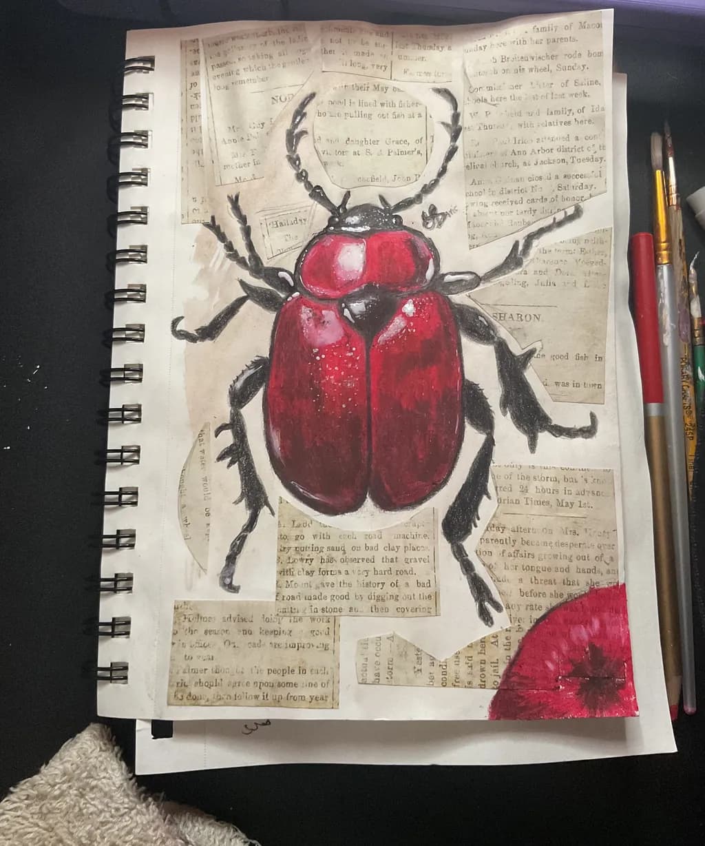 Red Beetle Collage