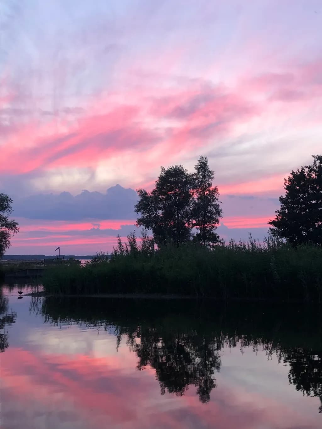 Dusky Reflection